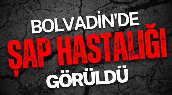 Bolvadin'de Şap Hastalığı Görüldü