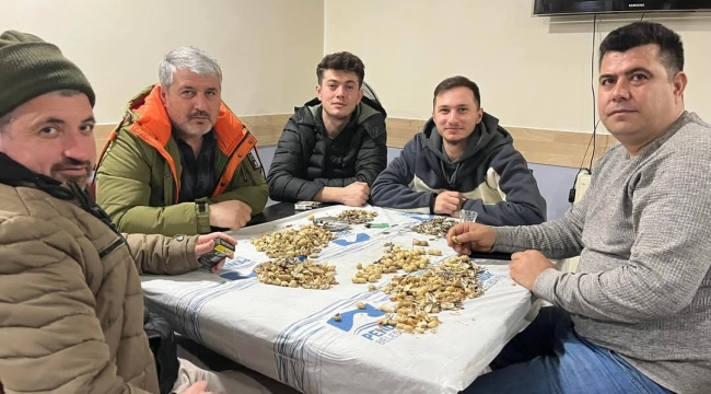 Dişliler Böylesine Tutkun! Nerede Oluyorsa Buluyorlar