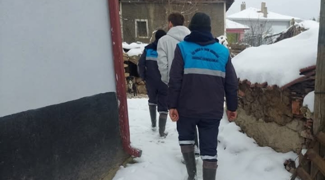Emirdağ'da Şap Var Dediler! İlçe Tarım Harekete Geçti