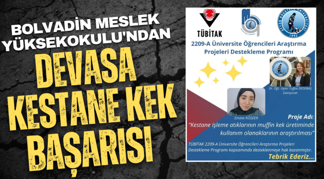 Kestane Atıklarından Muffin Kek! Genç Araştırmacıya TÜBİTAK Desteği