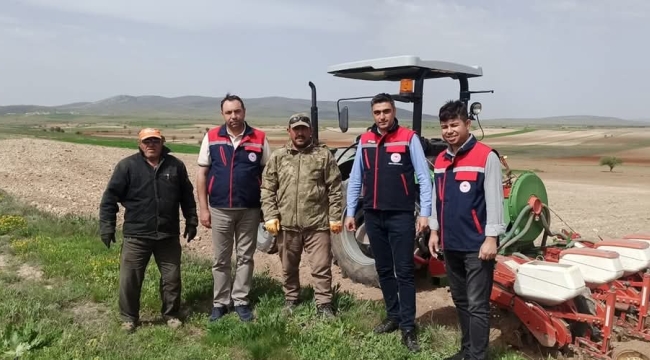 Afyonkarahisar’da Ayçiçeği Ekimi Hız Kesmeden Sürüyor