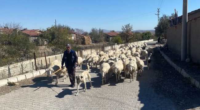 Bolvadin'in Üretken Köyü Dipevler Böyle Duyurdu