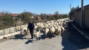 Bolvadin'in Üretken Köyü Dipevler Böyle Duyurdu