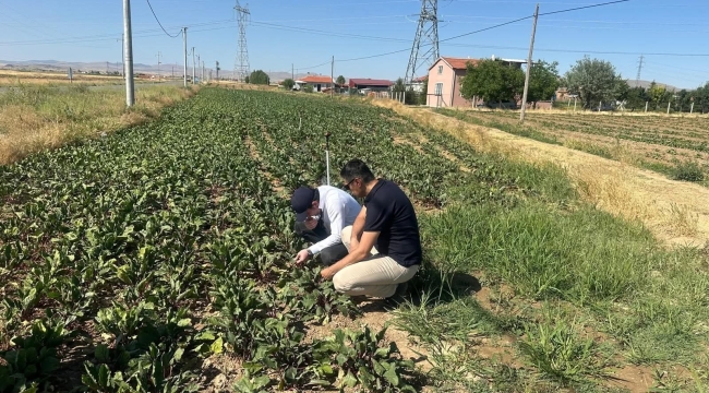Afyonkarahisar'da Tarlalara Sıkı Denetim! Geçit Vermeyecekler