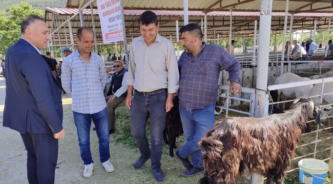 Çay İlçesinde Kurban Bayramı Erken Geldi