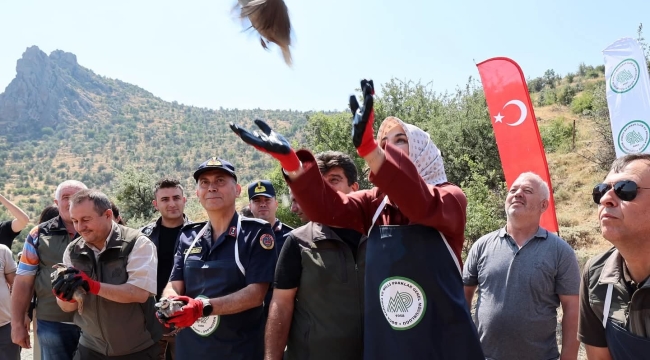 Afyonkarahisar'da Keneler Yok Olacak! 400 Keklik Saldılar