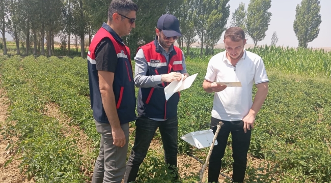 Afyonkarahisar Tarımında Kritik Mücadele Başladı