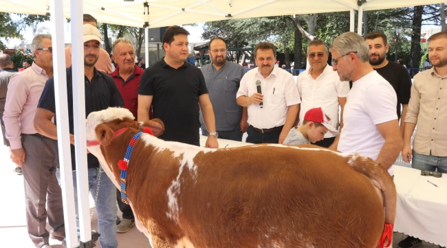 Bolvadin'de Kaymak ve Lezzet Yarışmaları Başlıyor