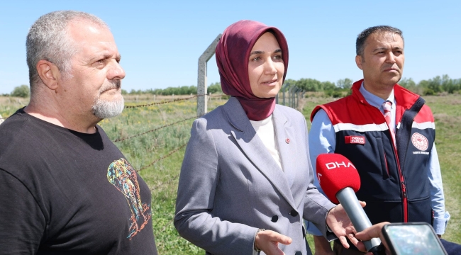 Vali Yiğitbaşı Eber Gölü Sorununa El Koydu