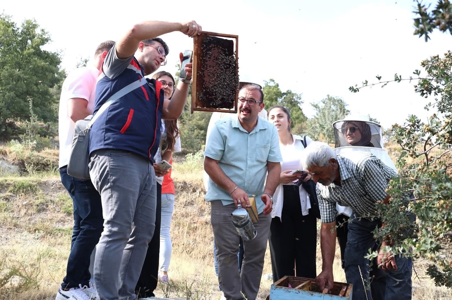 Afyon'da Arı Kovanına Girdiler Adına Eğitim Dediler