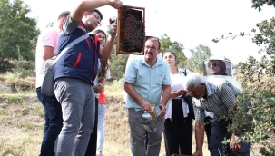 Afyon'da Arı Kovanına Girdiler Adına Eğitim Dediler