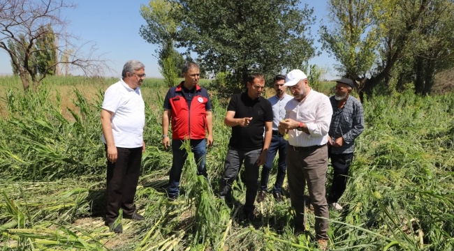 Afyon Nuribey'de Dolu Felaketi Çiftçiyi Vurdu