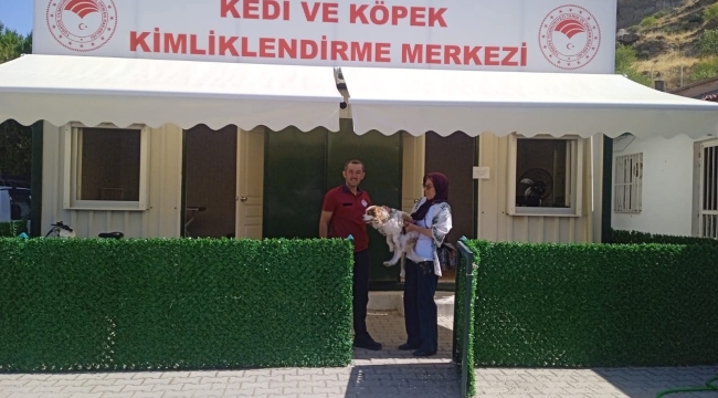 Afyonkarahisar’da Kedi ve Köpek Kimliklendirme Merkezi Açıldı
