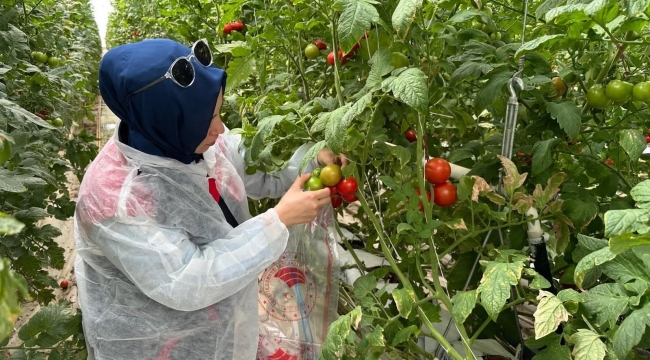 Afyonkarahisar'da Numune Alıp Laboratuvara Gönderdiler