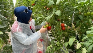 Afyonkarahisar'da Numune Alıp Laboratuvara Gönderdiler