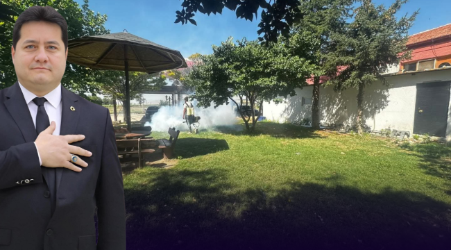 Bolvadin'de Haşerelerle Mücadele Sürüyor