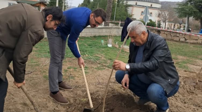 Bolvadin'de Kemerkaya Köyünde Yeni Ağaçlar Dikiliyor