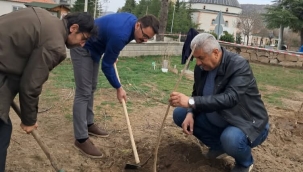 Bolvadin'de Kemerkaya Köyünde Yeni Ağaçlar Dikiliyor