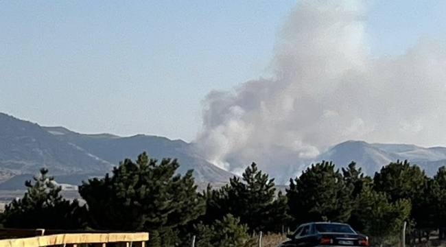 Emirdağ Kemerkaya&#039;da Orman Yangını Paniği
