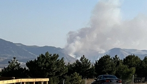 Emirdağ Kemerkaya'da Orman Yangını Paniği