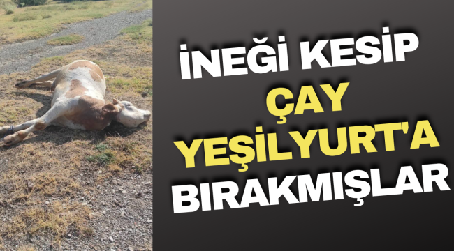 İneği Kesip Çay Yeşilyurt Köyüne Bırakmışlar