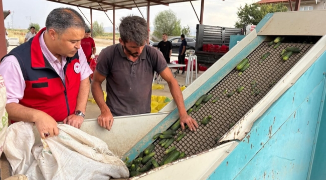 Kornişon Salatalığı Deme! Afyon'dan Polonya’ya 300 Ton İhracat