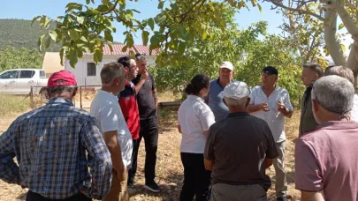Ceviz Hastalıkları Toplantısı Afyonkarahisar'da Yapıldı