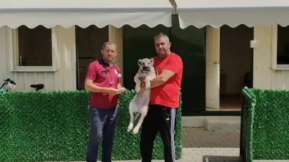 Afyonkarahisar'da Mikroçip Uygulamasında Son Tarih