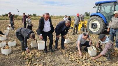 Çay'da Dekar Başına 4 Ton Patates! Hasat Başladı