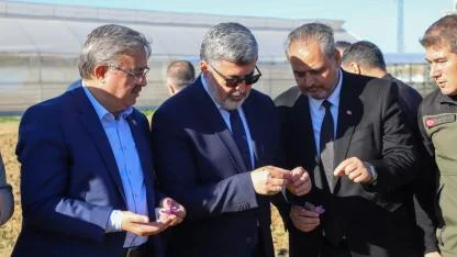 AFSÜ’de Safran Hasadı Törenle Gerçekleştirildi