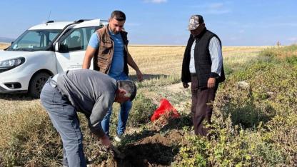 İhsaniye’de Patateslerde Pestisit Analizi İçin Numune Alındı