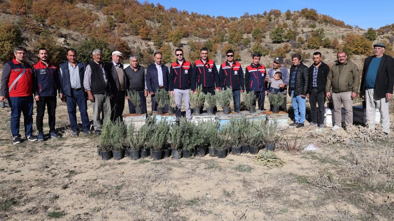 Afyonkarahisar’da Arıcılara Lavanta Desteği: Bal Kalitesi Artacak