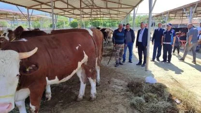 Çay’da Hayvan Pazarı Bugün Yeniden Açılıyor