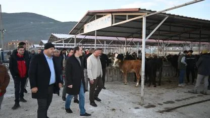 Kaymakam Türker’den Şap Sonrası Hayvan Pazarı Mesaisi: “Önceliğimiz Ticaretin Aksamaması”