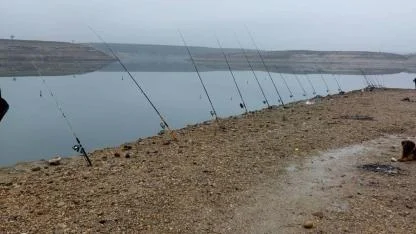 Akdeğirmen Baraj Gölü’nde Av Yasağı Denetimi: İl Müdürü Parlak Sahadaki Çalışmaları Değerlendirdi