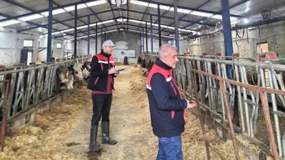 Afyonkarahisar’da Hayvancılık Kapasite Ölçümleri Sürüyor