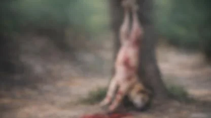 Bolvadin Dişli Kasabasında Ayaklarından Asılmış Halde Bulundu