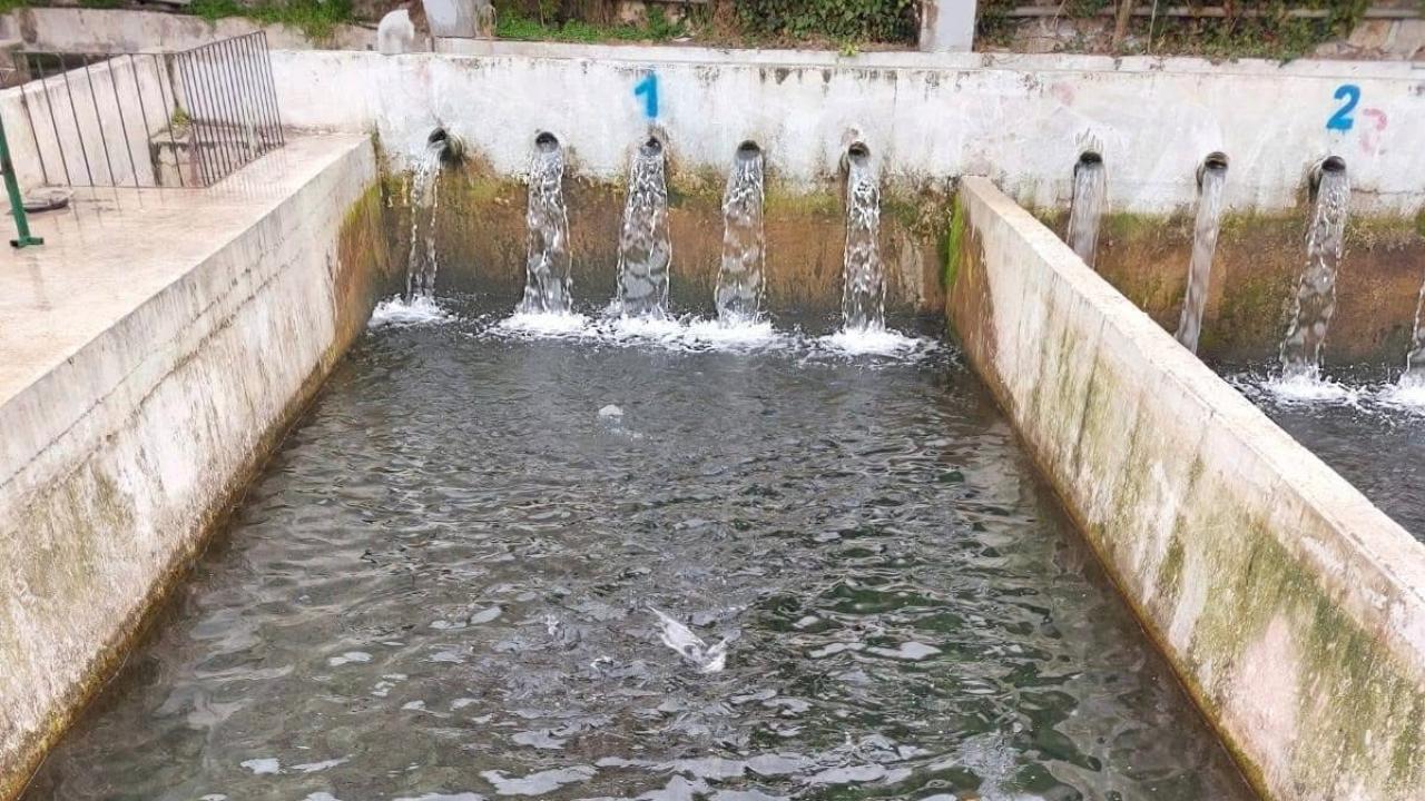 Afyonkarahisar’da Alabalık Tarihi Yazıyorlar