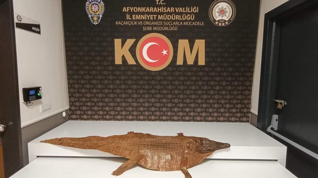 Afyonkarahisar’da Timsah Derisi Ele Geçirdiler