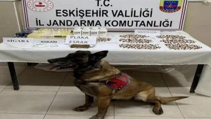 Belçika’dan Emirdağ’a Uzanan Zehir Hattı Eskişehir’de Kesildi