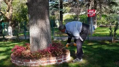 Bolvadin Horan Parkı’na Lavanta Dikildi
