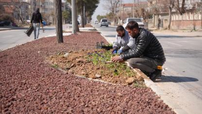 Bolvadin’de Peyzaj Çalışmaları Sürüyor