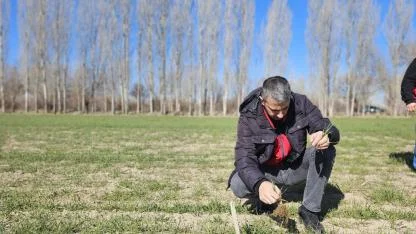 Çay’da Hububat Ekili Alanlarda Kontroller Yapıldı