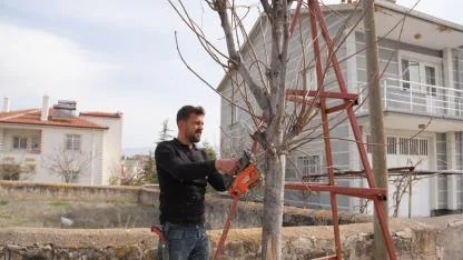 Bolvadin İlçesinde Budama İşlemleri Devam Ediyor