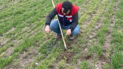 Bolvadin’de Tarımsal Saha Çalışmaları Tüm Hızıyla Sürüyor