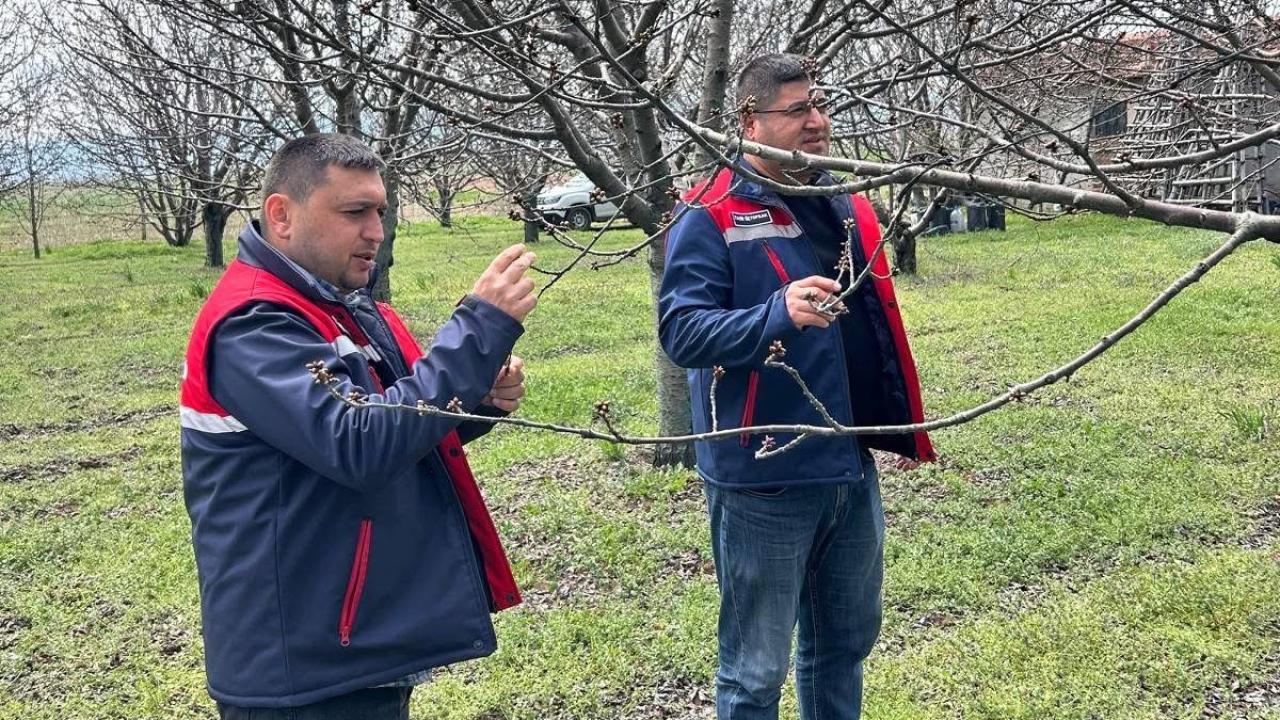 Bolvadin’de Üreticilere Zirai Don Uyarısı Yaptılar