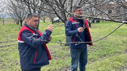 Bolvadin’de Üreticilere Zirai Don Uyarısı Yaptılar