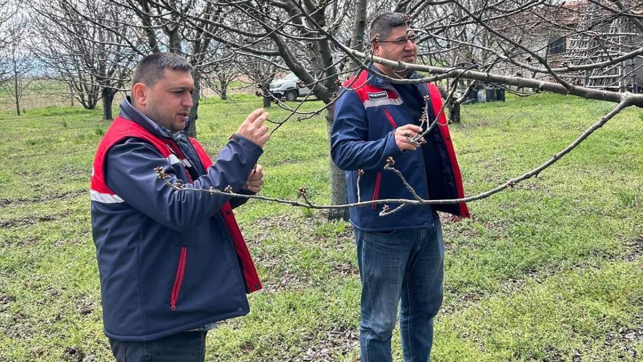 Bolvadin’de Üreticilere Zirai Don Uyarısı Yaptılar