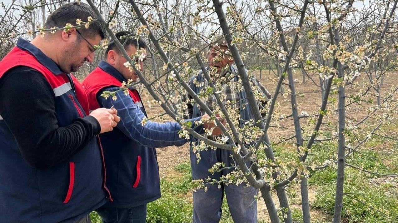 Bolvadin’de Zirai Don’a Geçit Yok