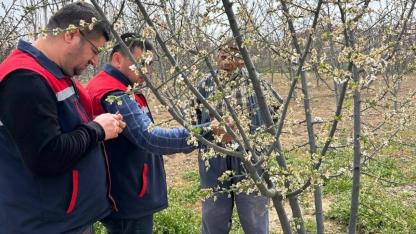 Bolvadin’de Zirai Don’a Geçit Yok